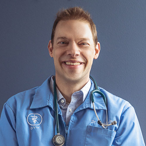 Dr. Matt Bechtel, Weldon Spring Veterinarian